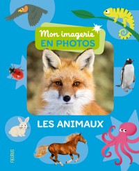 Voir les images