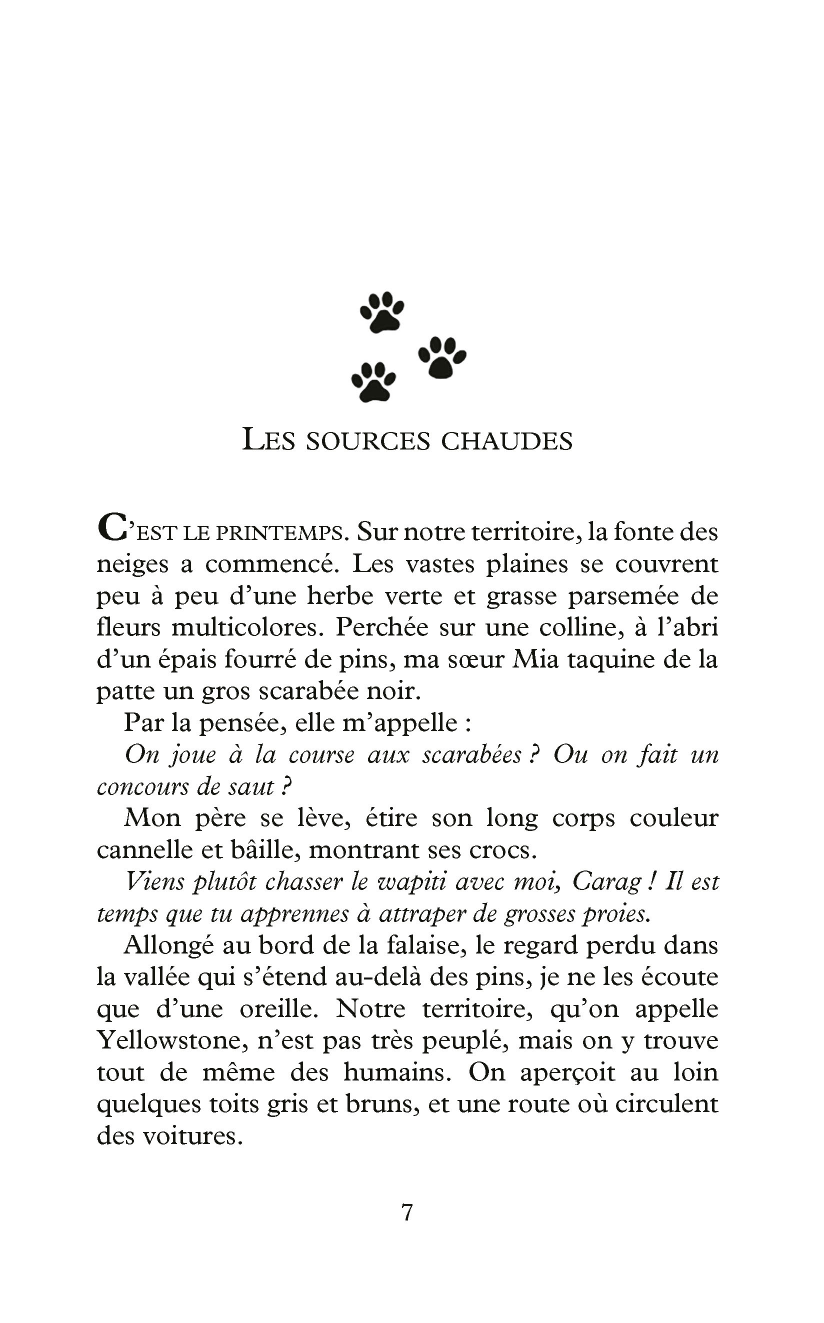 WOODWALKERS T3 LE SECRET DE HOLLY