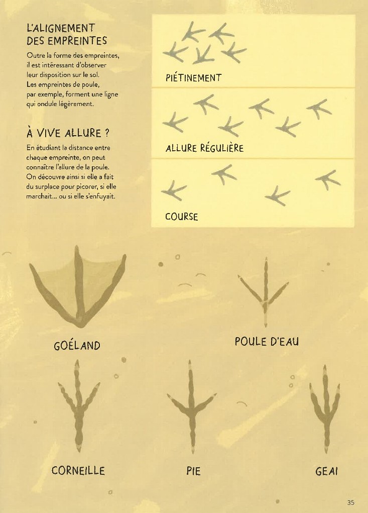 POULORAMA : ENCYCLOPEDIE DES POULES