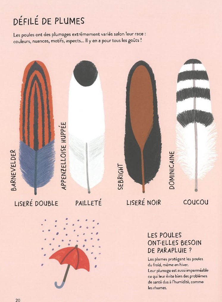 POULORAMA : ENCYCLOPEDIE DES POULES