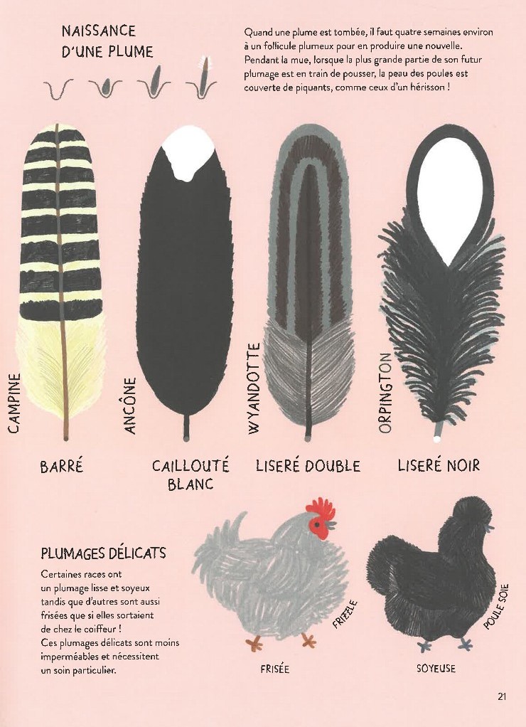 POULORAMA : ENCYCLOPEDIE DES POULES
