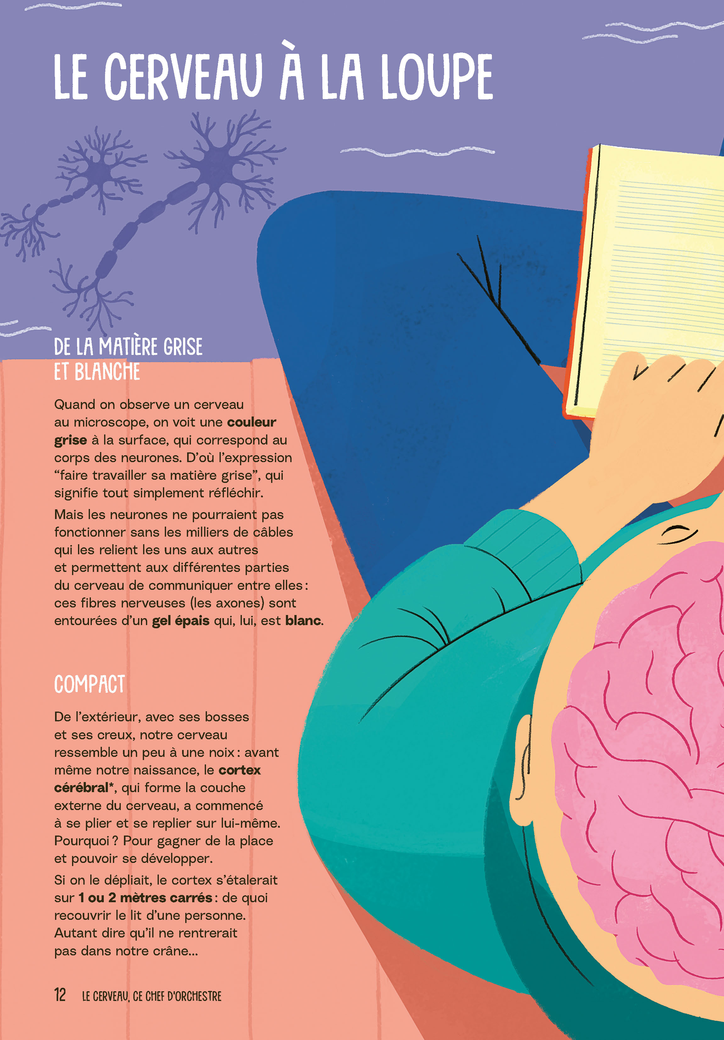AU COEUR DE TON CERVEAU AU COEUR DE TON CERVEAU