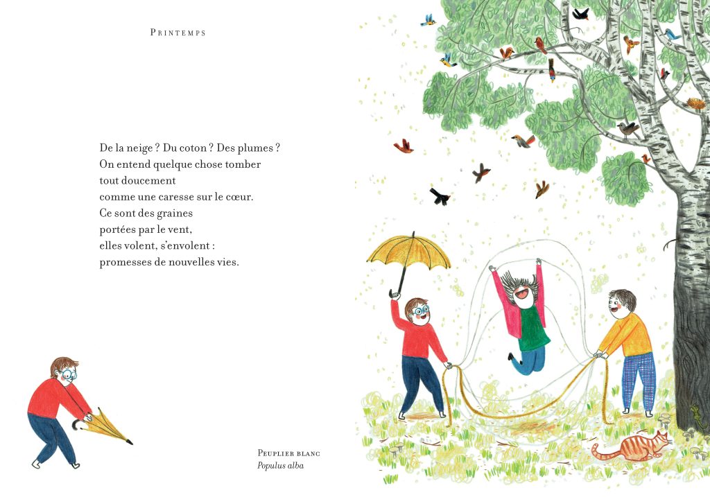 QUATRE SAISONS DANS LES ARBRES