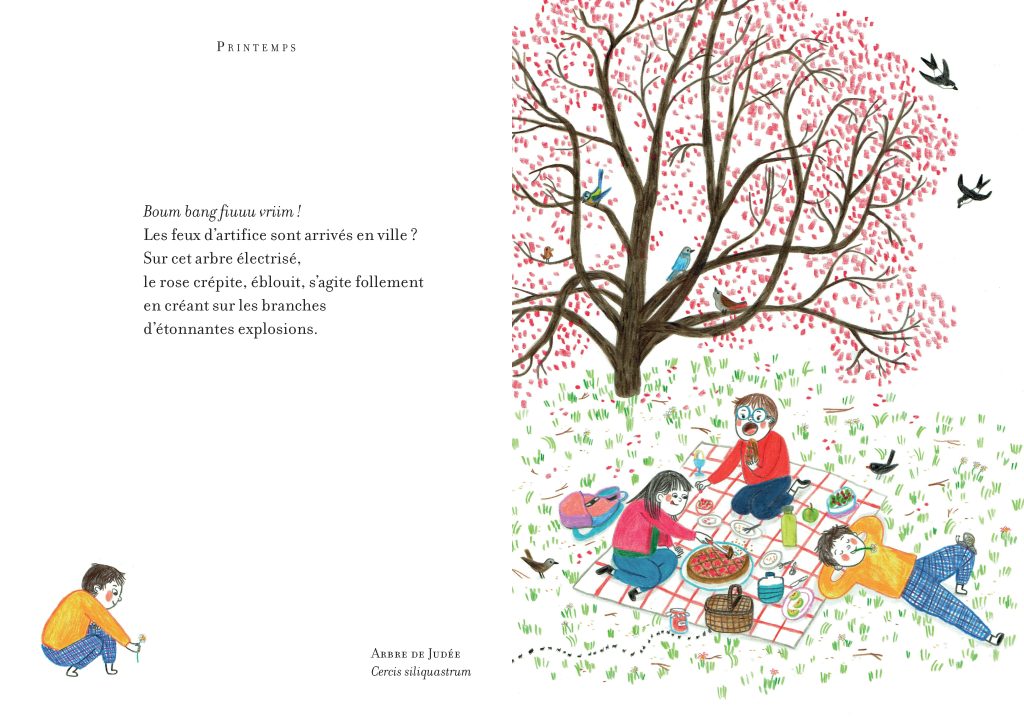 QUATRE SAISONS DANS LES ARBRES