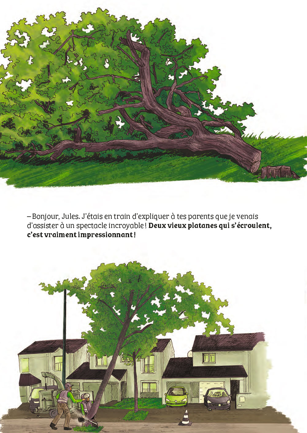 LE DEFENSEUR DES ARBRES