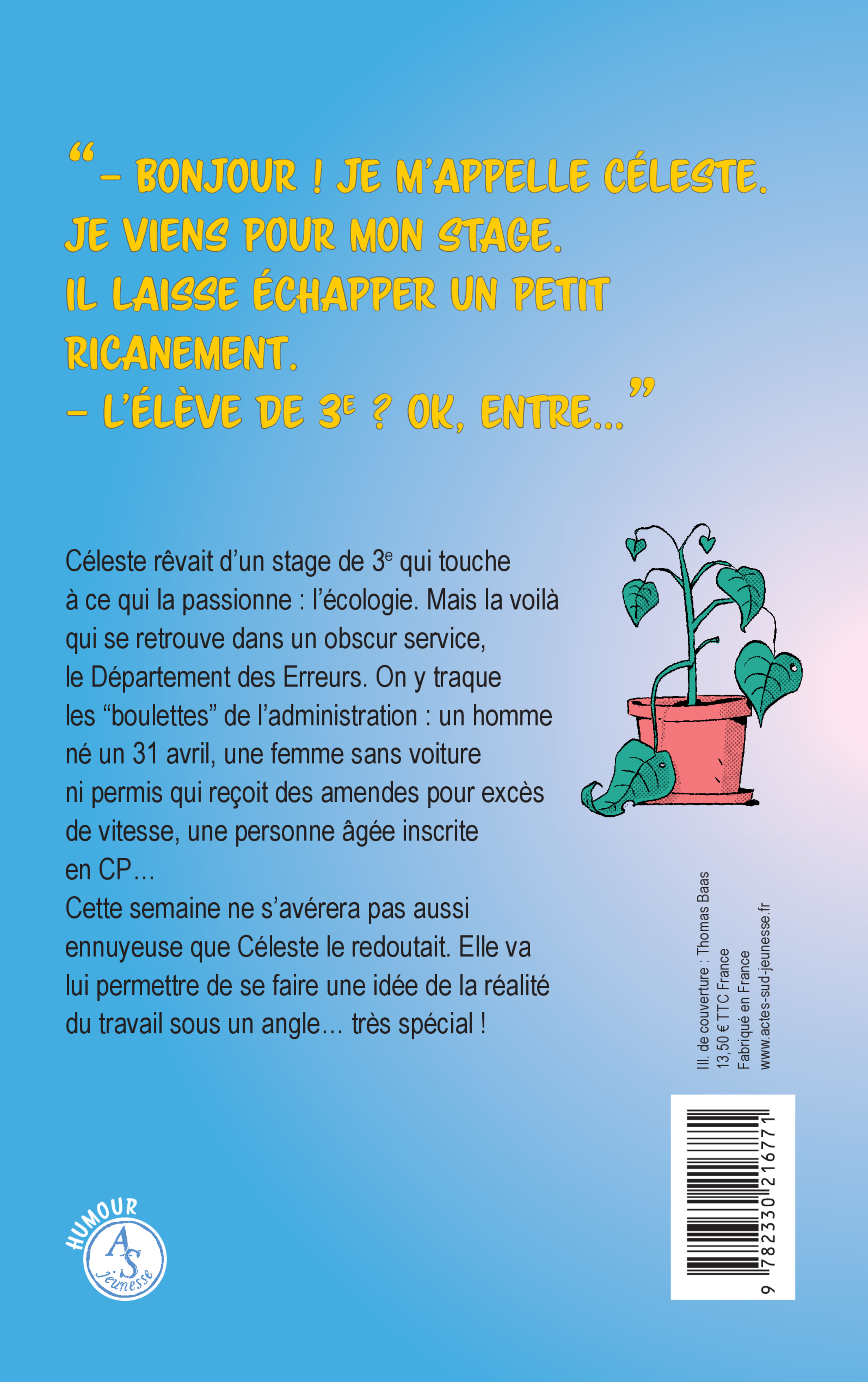 MON STAGE EN PAGAILLE