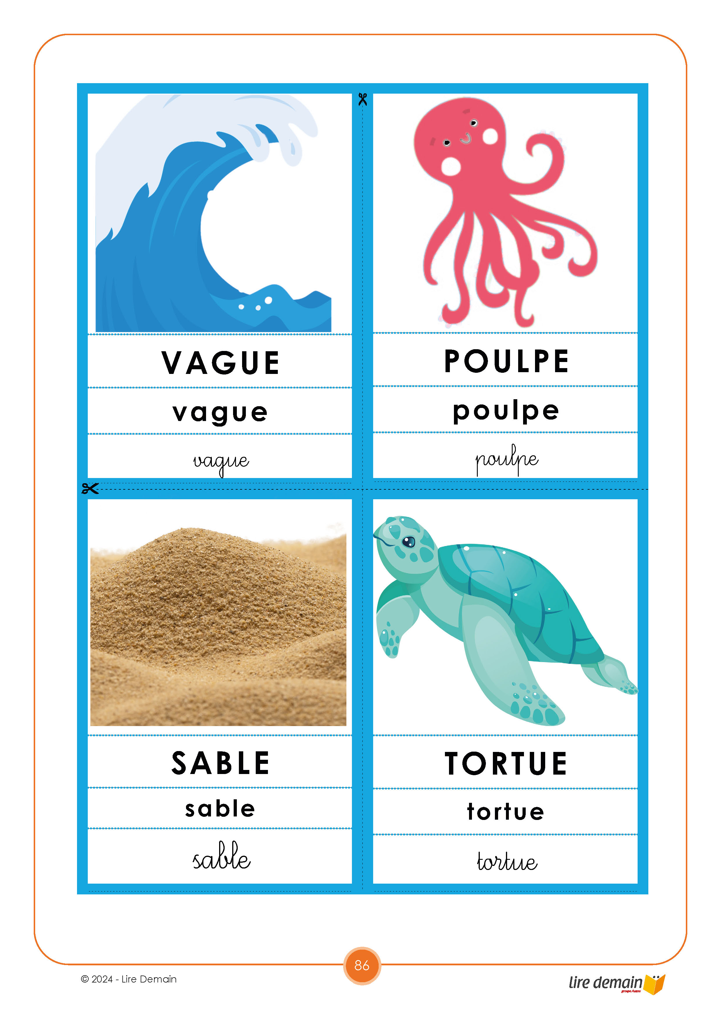 APJS : GARE AU REQUIN : 1 FICHIER + 1 JEU