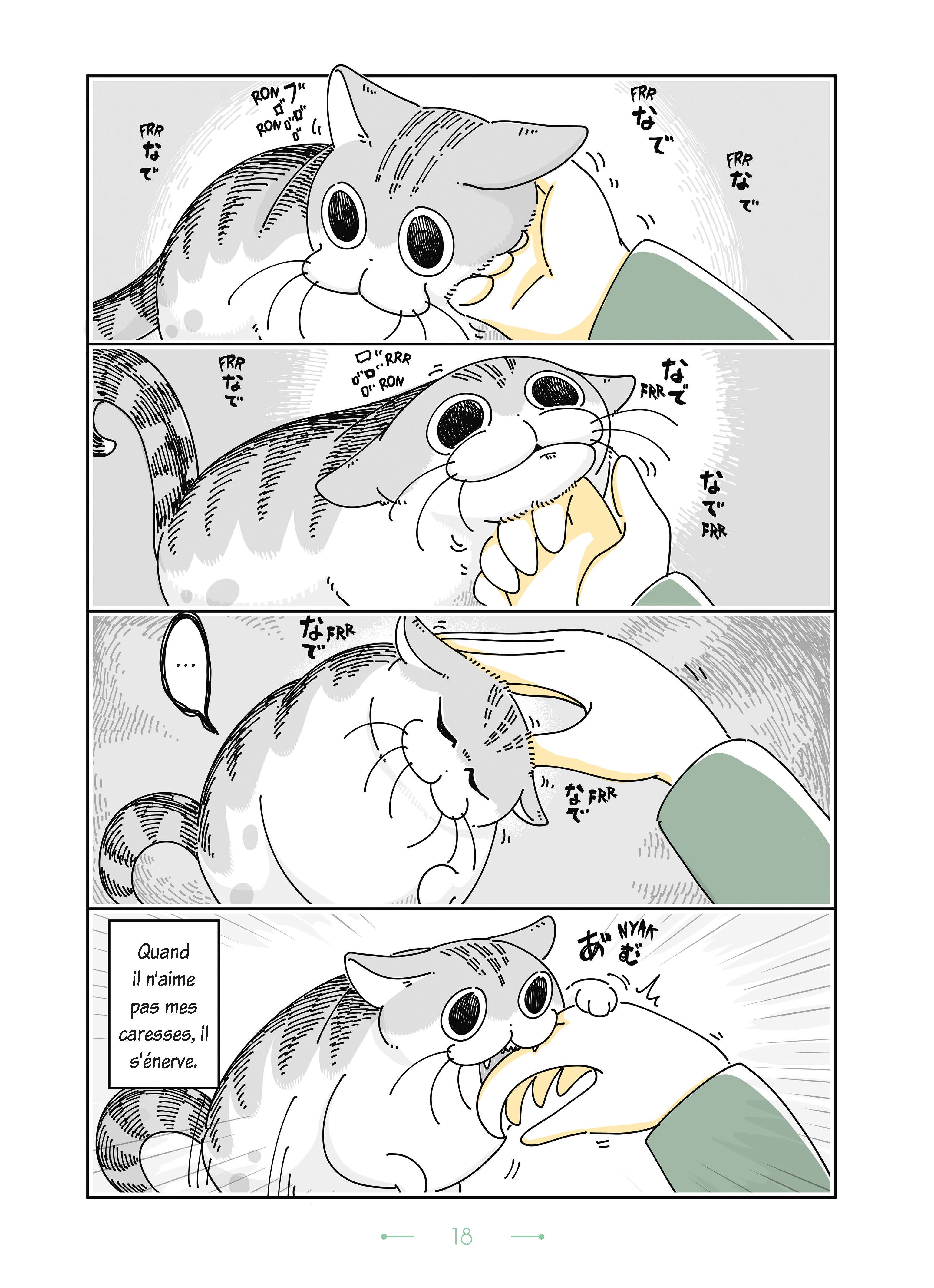 NIGHTS WITH A CAT T3