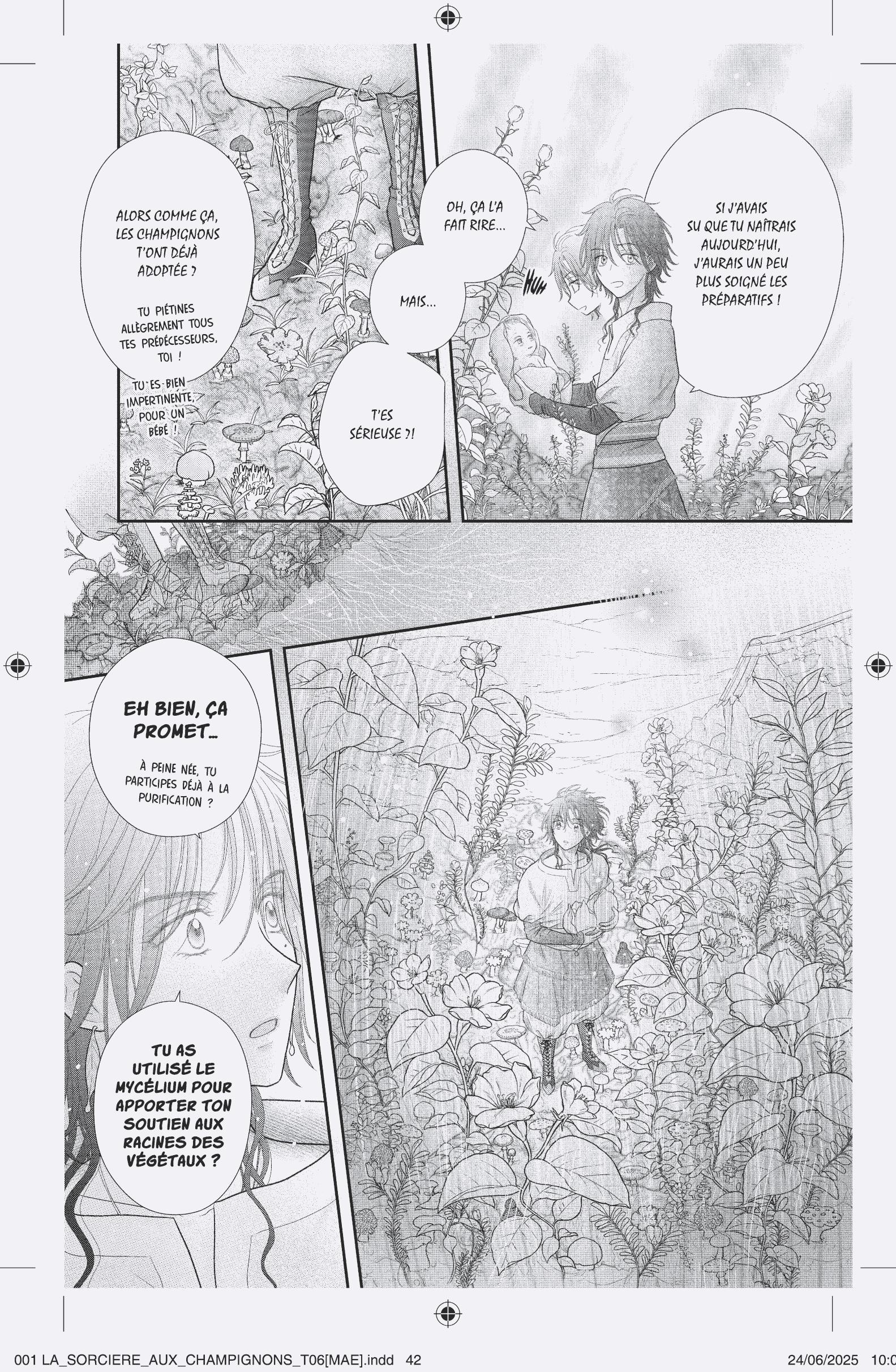 LA SORCIERE AUX CHAMPIGNONS T6
