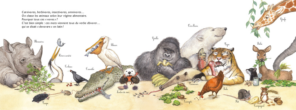 BON APPETIT LES ANIMAUX ! LES REGIMES ALIMENTAIRES
