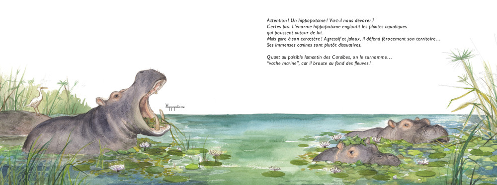 BON APPETIT LES ANIMAUX ! LES REGIMES ALIMENTAIRES