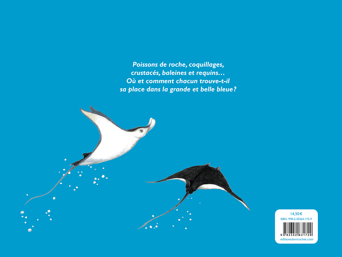 LA BELLE BLEUE : OCEANOLOGIE