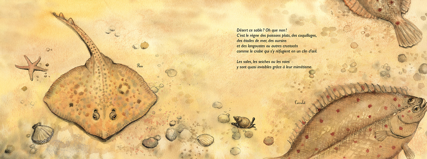 LA BELLE BLEUE : OCEANOLOGIE