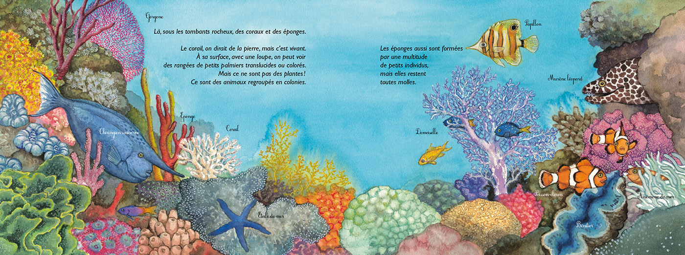 LA BELLE BLEUE : OCEANOLOGIE