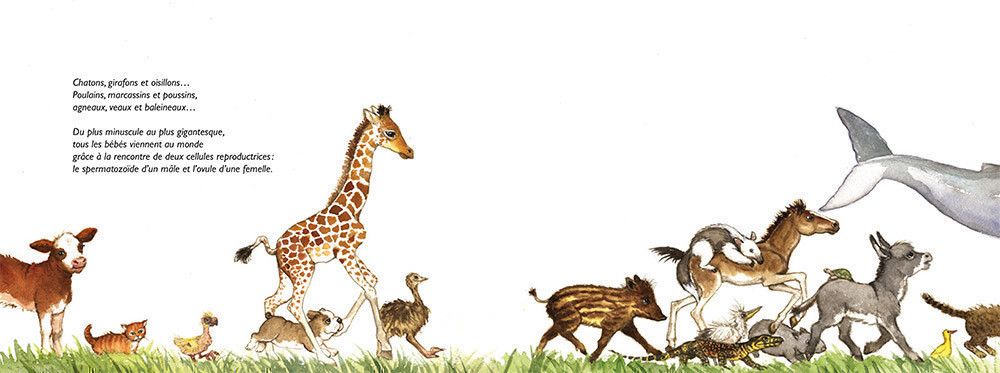 DES BEBES PAR MILLIERS