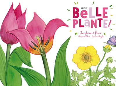 UNE BELLE PLANTE