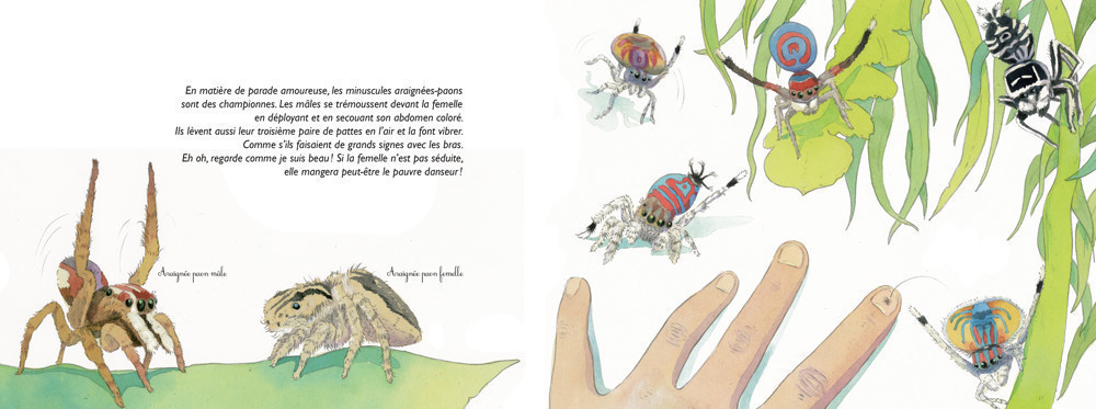 MYSTERES ET TOILES D