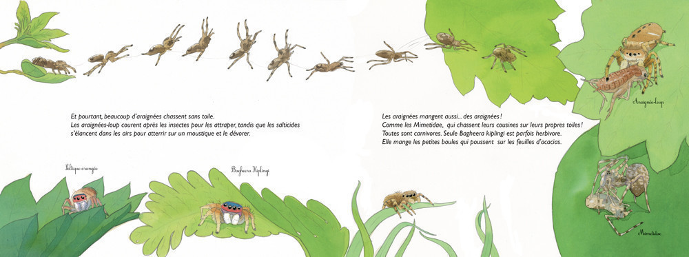 MYSTERES ET TOILES D