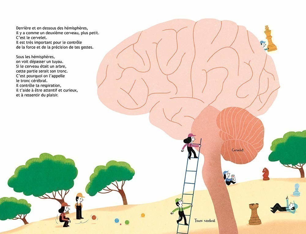 100 % CONNECTE - LE CERVEAU ET LES NEURONES