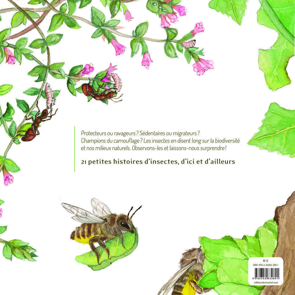 LES INSECTES