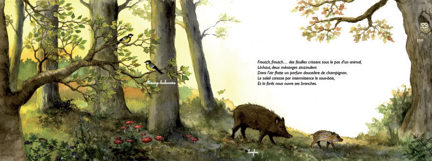 CES ARBRES QUI FONT NOS FORETS : LES ECOSYSTEMES FORESTIERS