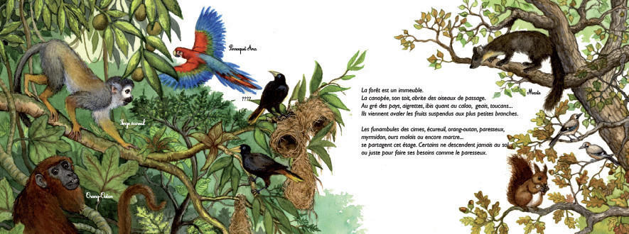 CES ARBRES QUI FONT NOS FORETS : LES ECOSYSTEMES FORESTIERS