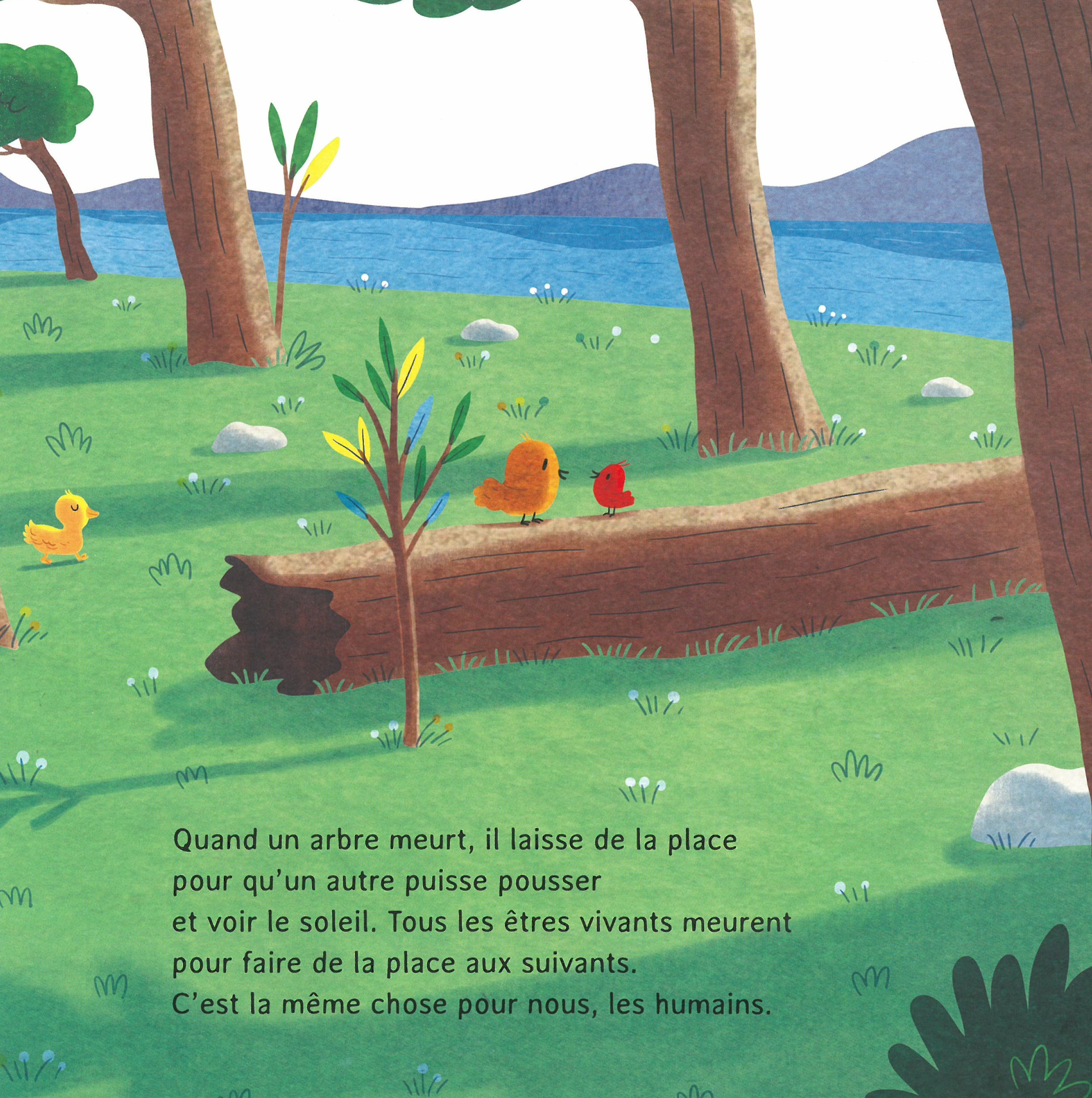 LA MORT, CA EFFRAIE UN PEU, BEAUCOUP, ENORMEMENT