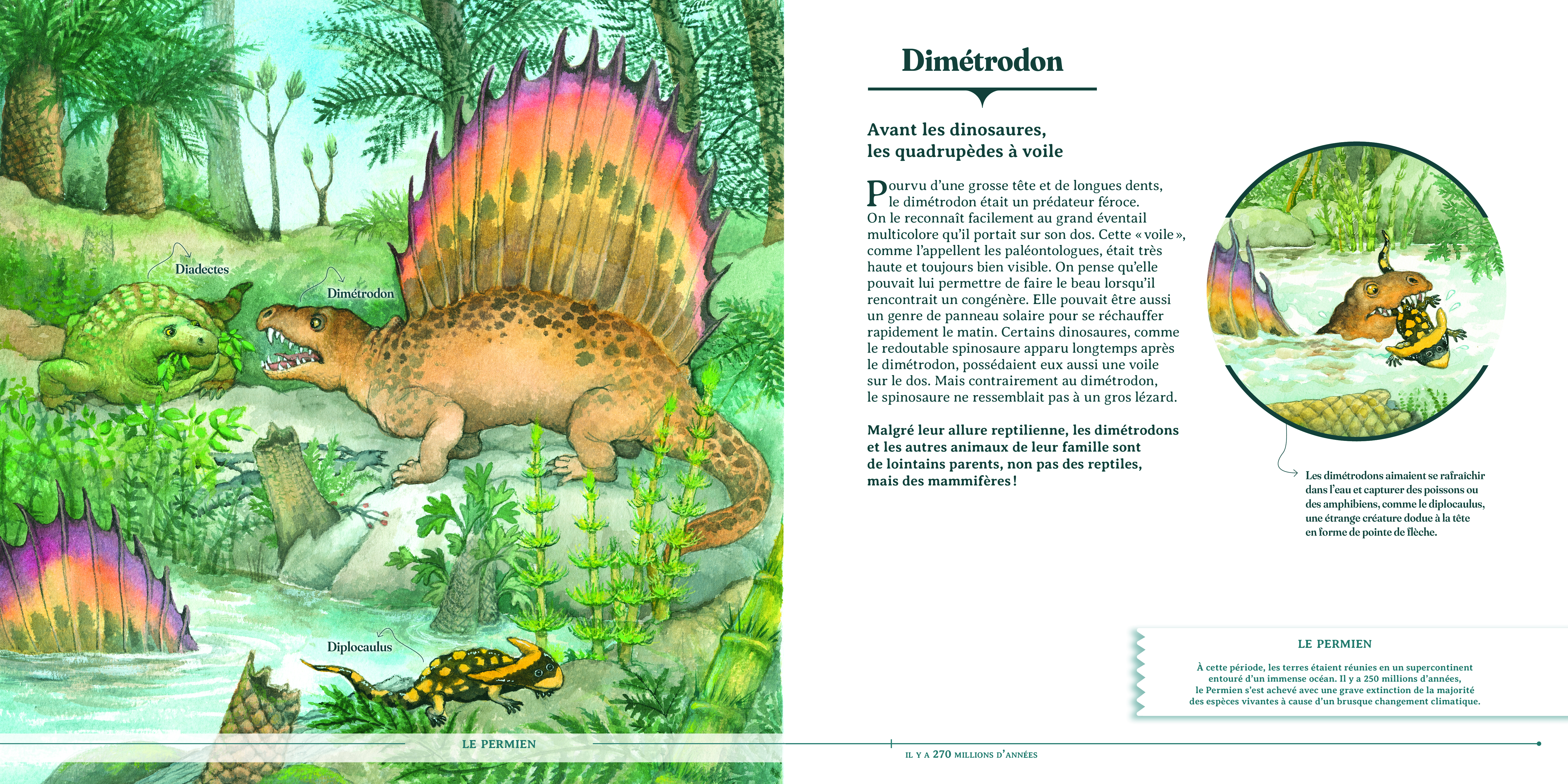 LES ANIMAUX DISPARUS (ET RETROUVES !)