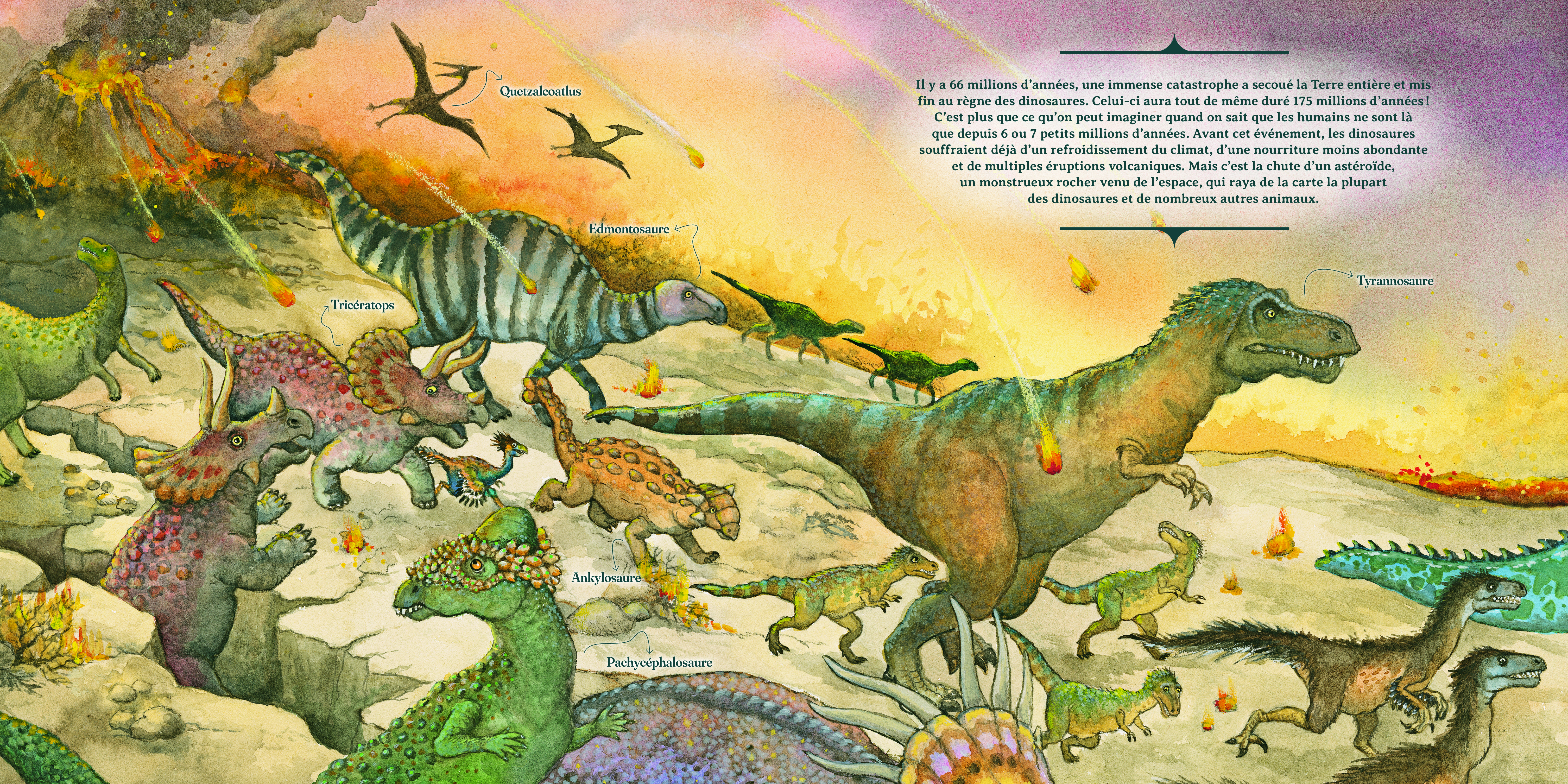 LES ANIMAUX DISPARUS (ET RETROUVES !)