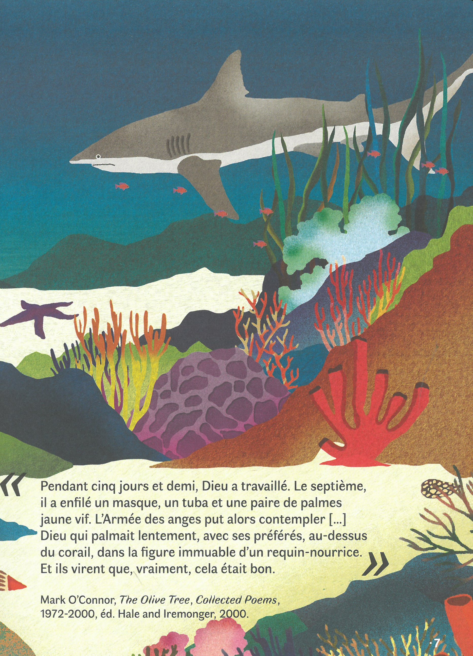 LA GRANDE BARRIERE DE CORAIL