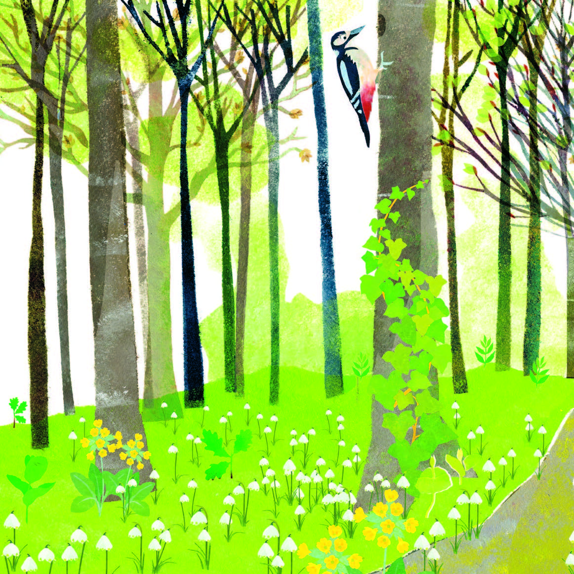 FORET SAUVAGE