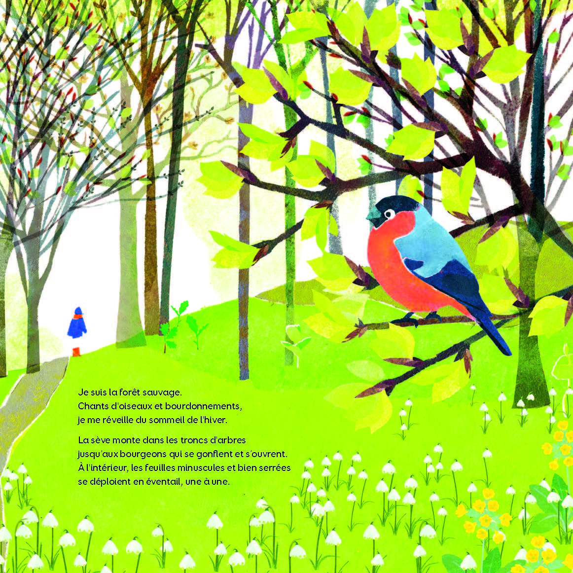 FORET SAUVAGE