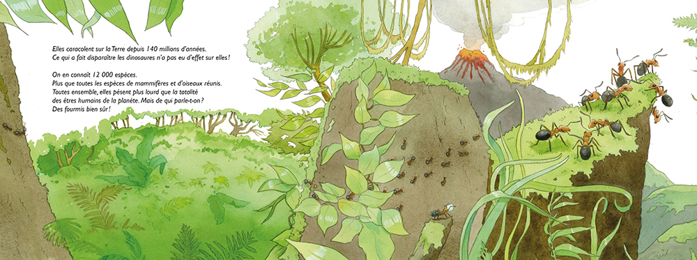 FORMIDABLES FOURMIS : LA MYRMECOLOGIE