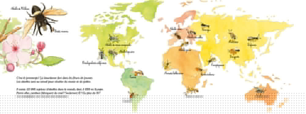 AU ROYAUME DES ABEILLES : APIDOLOGIE