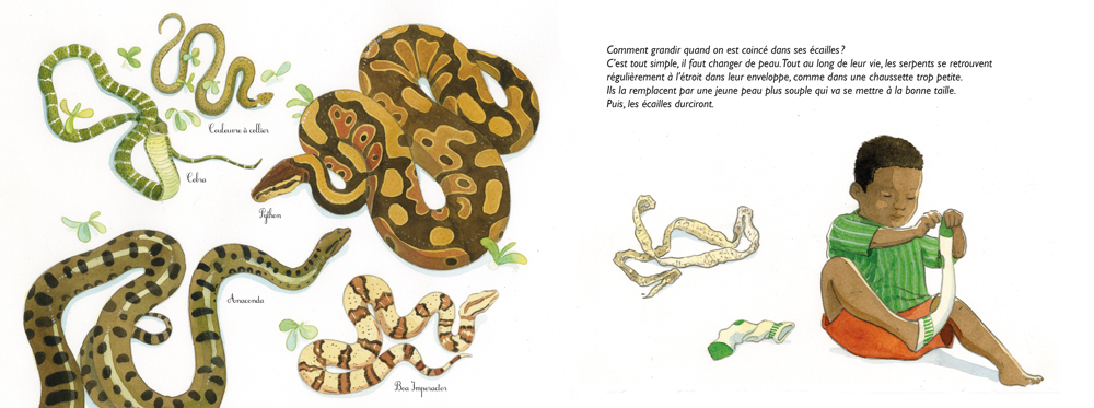 ADIEU VIEILLES PEAUX ! : LES MUES DES ANIMAUX