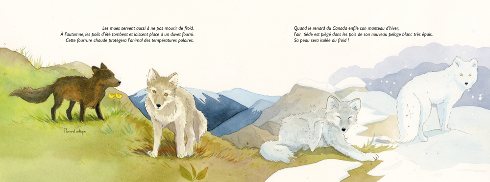 ADIEU VIEILLES PEAUX ! : LES MUES DES ANIMAUX