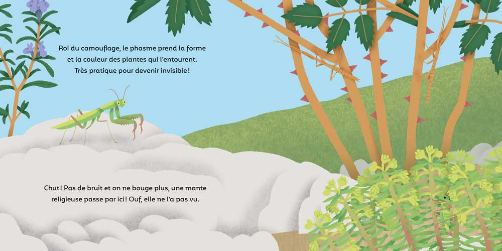 LES P LES P