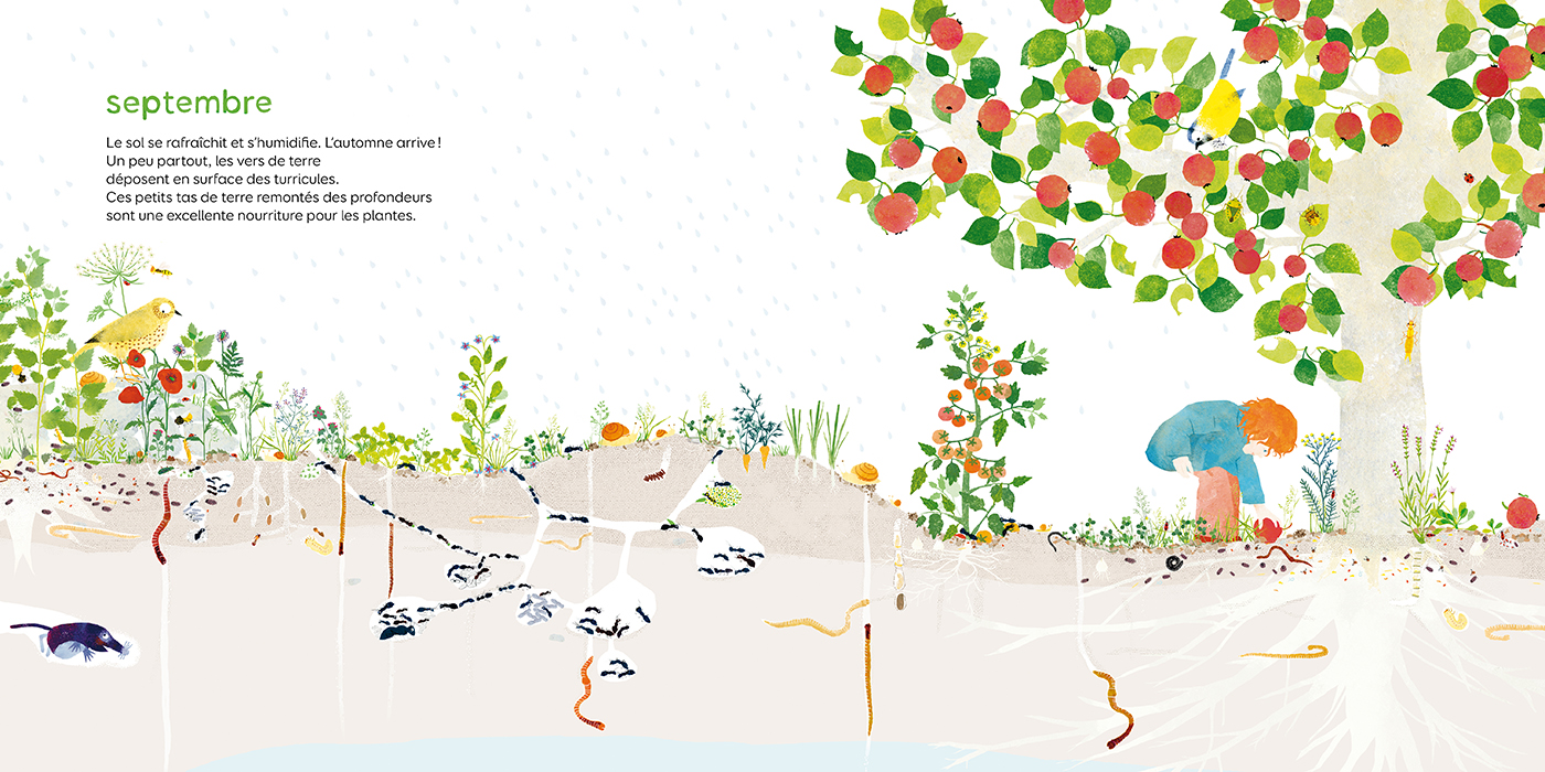 SOUS MES PIEDS. LA VIE DU SOL