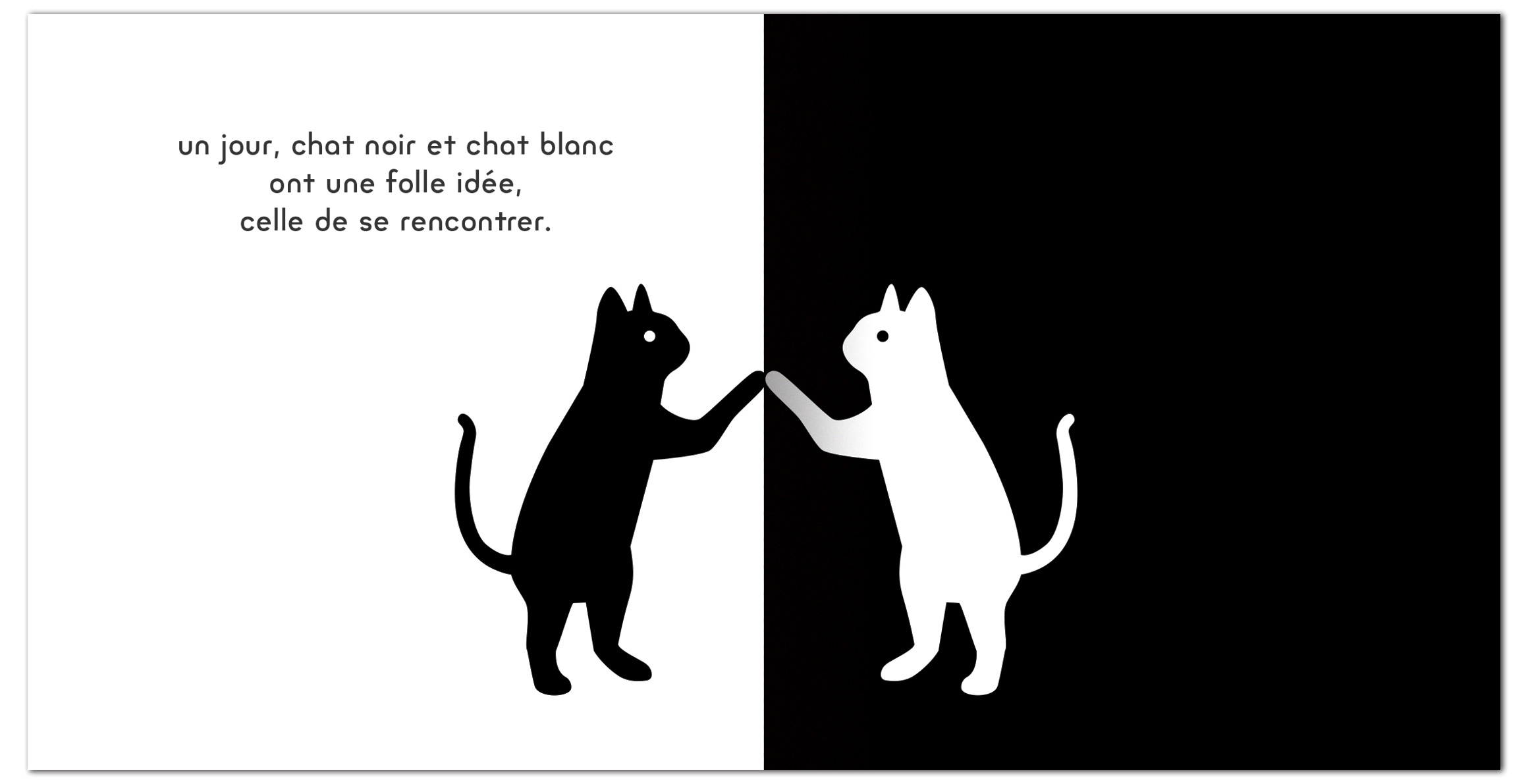 CHAT NOIR, CHAT BLANC