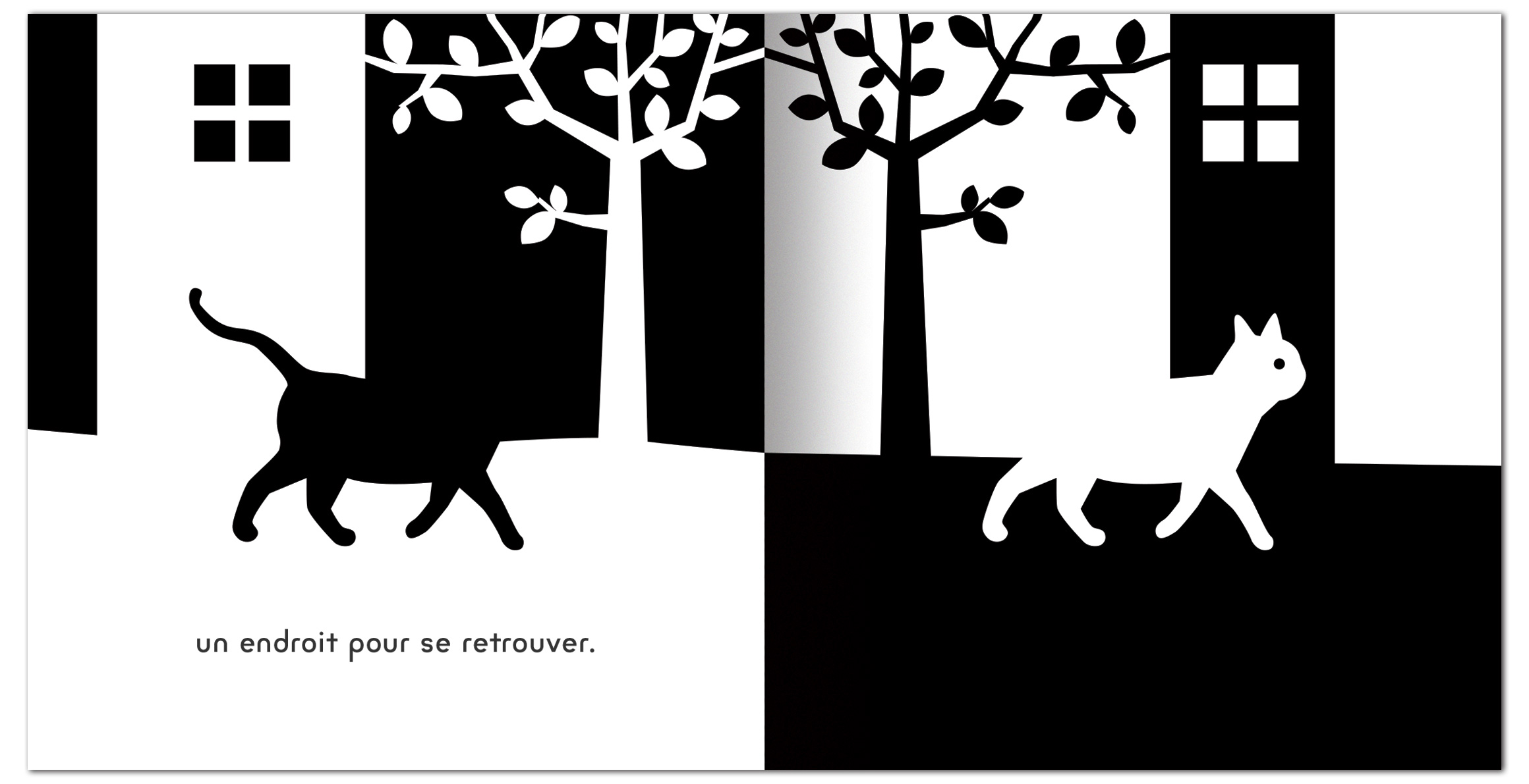CHAT NOIR, CHAT BLANC