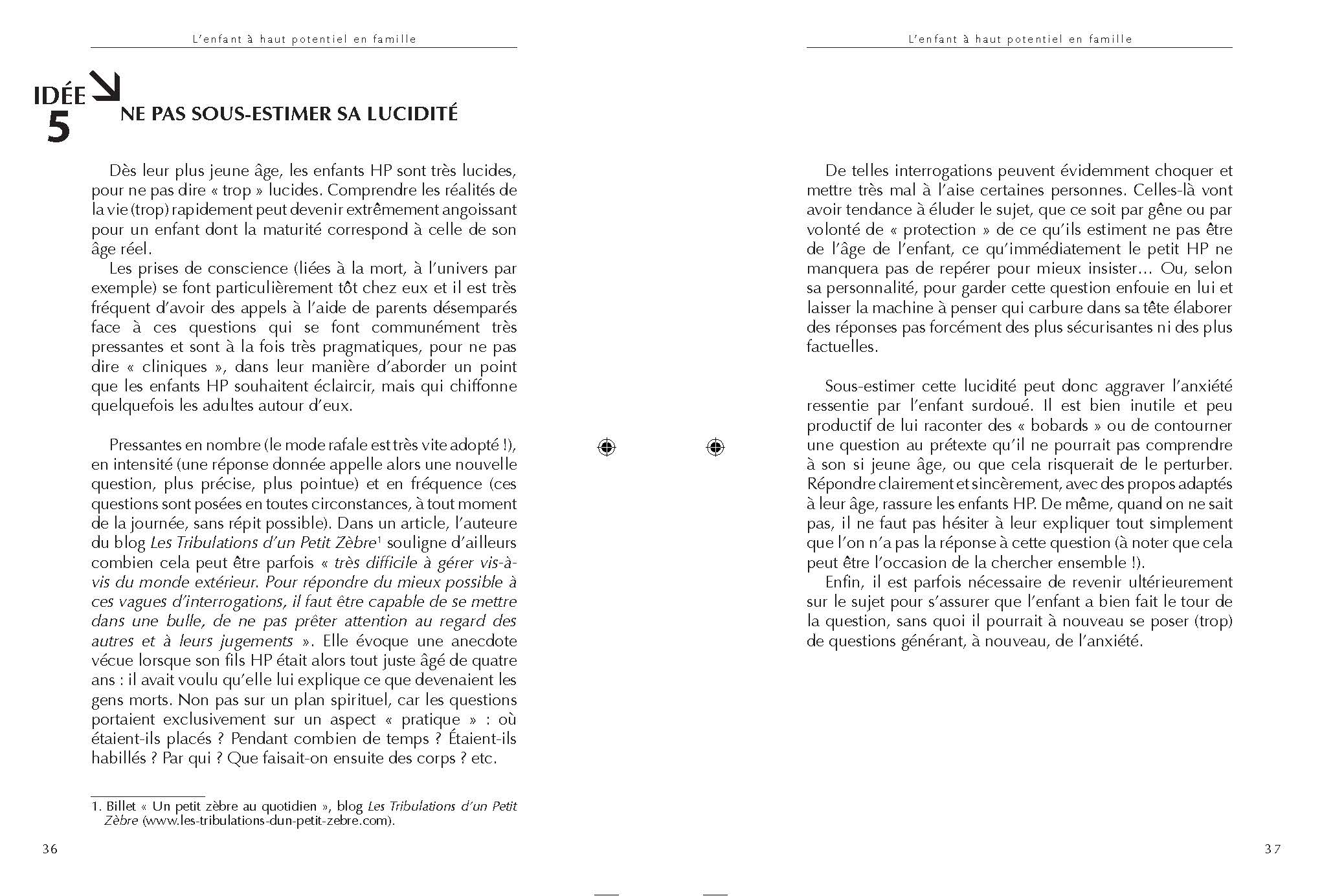 100 IDEES + POUR ACCOMPAGNER LES ENFANTS A HAUT POTENTIEL