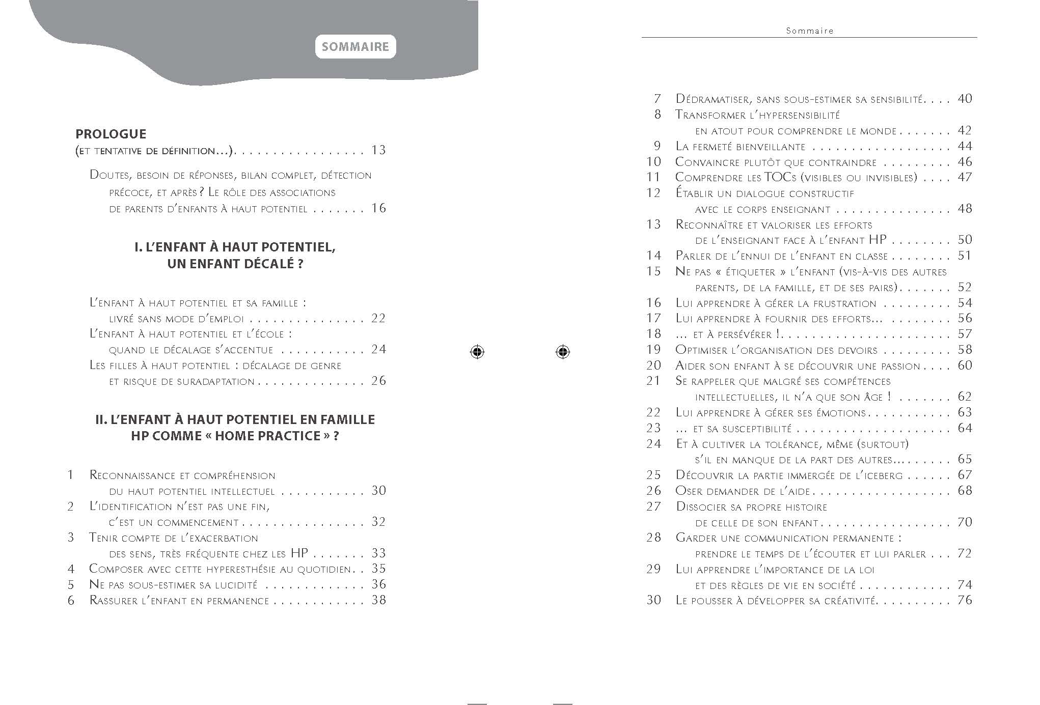 100 IDEES + POUR ACCOMPAGNER LES ENFANTS A HAUT POTENTIEL