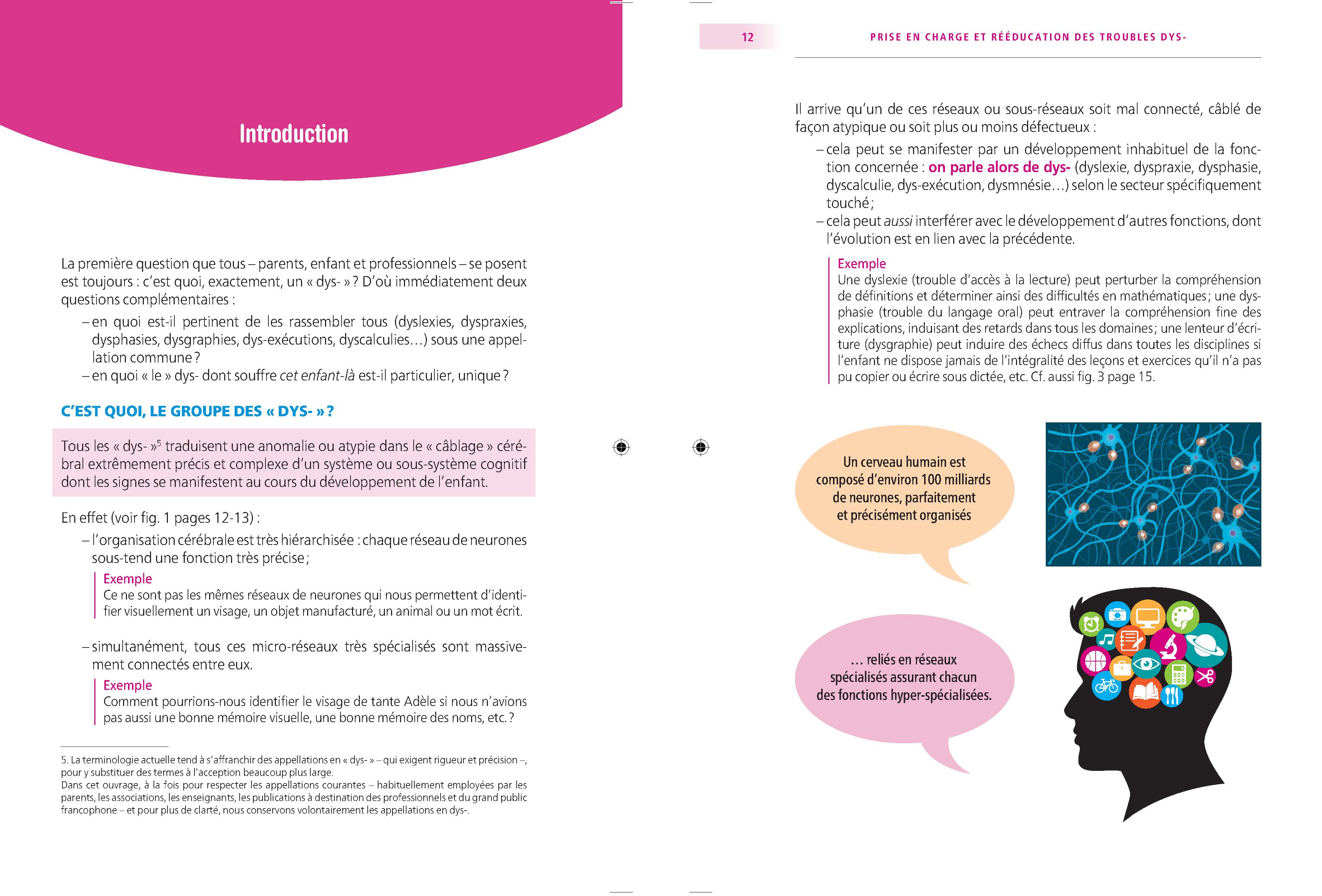 PRISE EN CHARGE ET REEDUCATION DES TROUBLES DYS- : LES FONDAMENTAUX EN 10 QUESTIONS