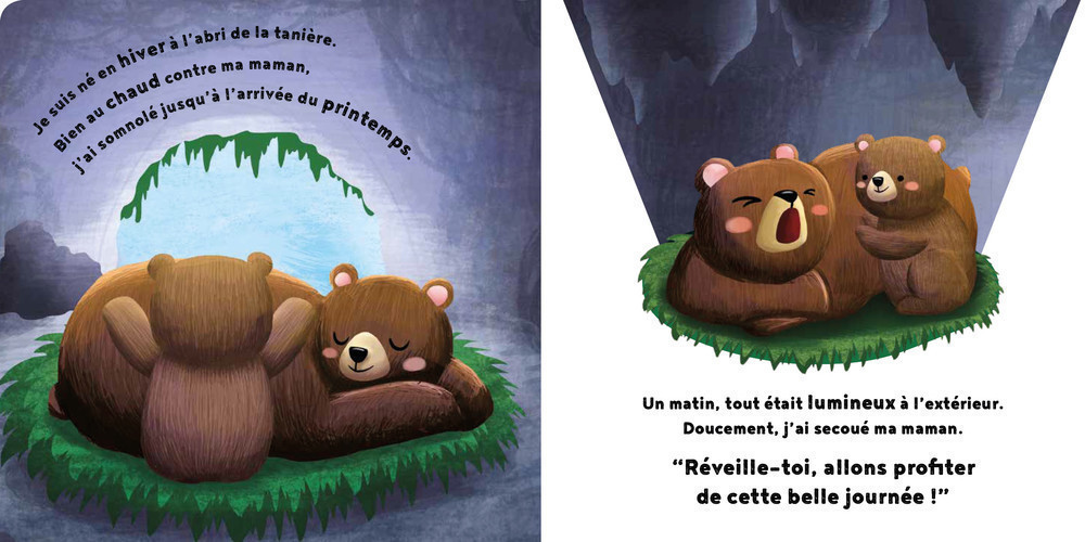 LE PETIT OURS