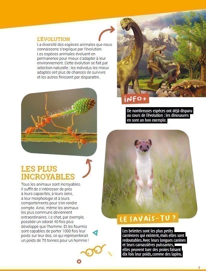 ANIMAUX INCROYABLES