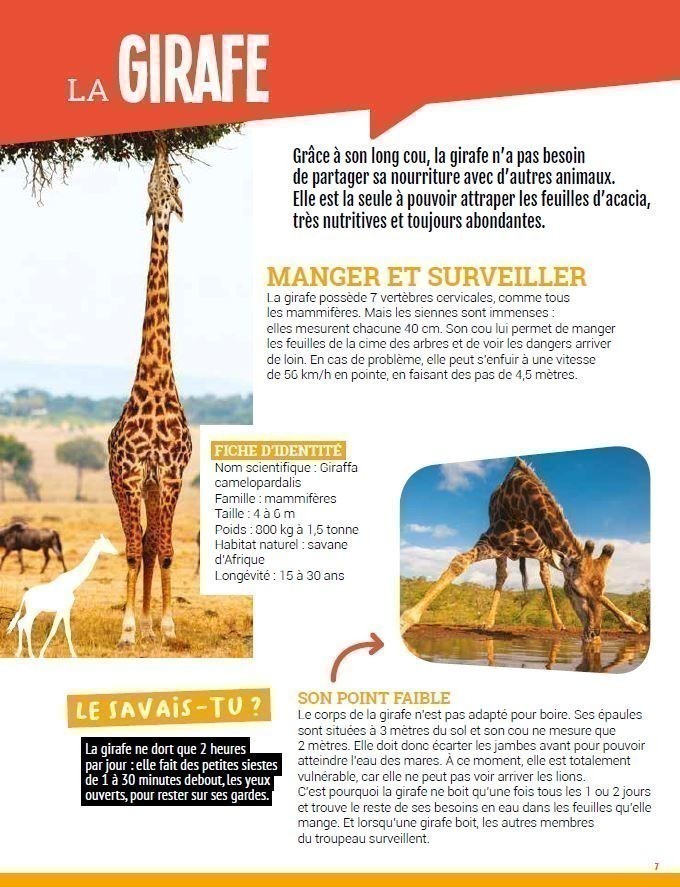 ANIMAUX INCROYABLES