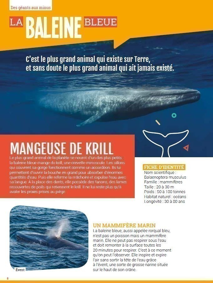 ANIMAUX INCROYABLES