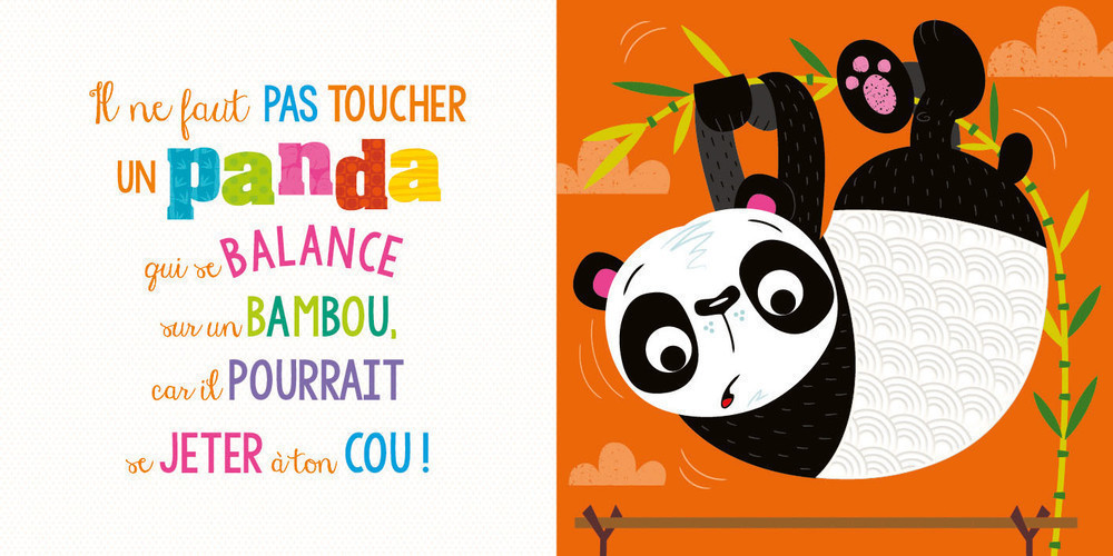 IL NE FAUT PAS TOUCHER UN PANDA !