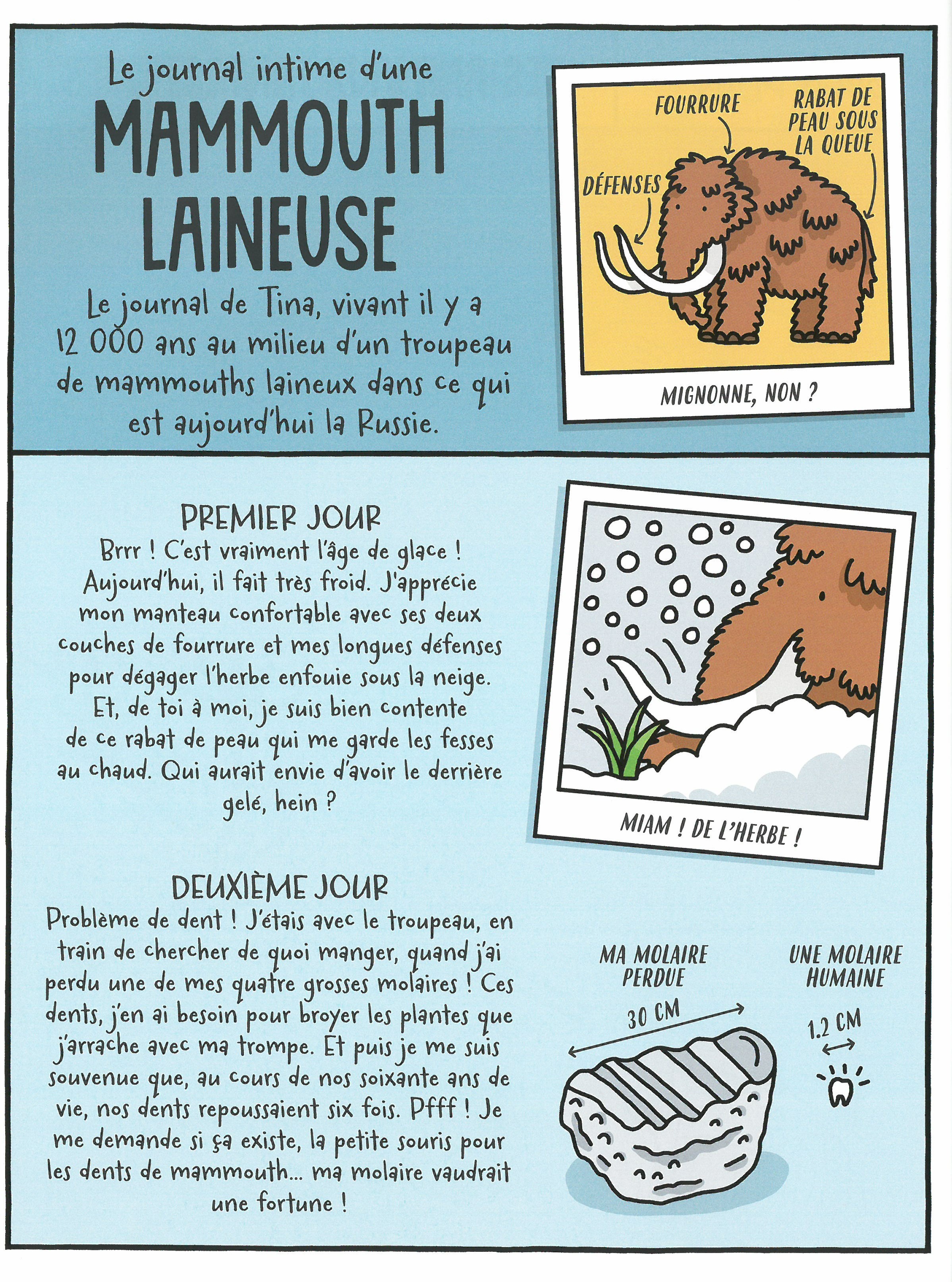 UN JOUR DANS LA VIE D