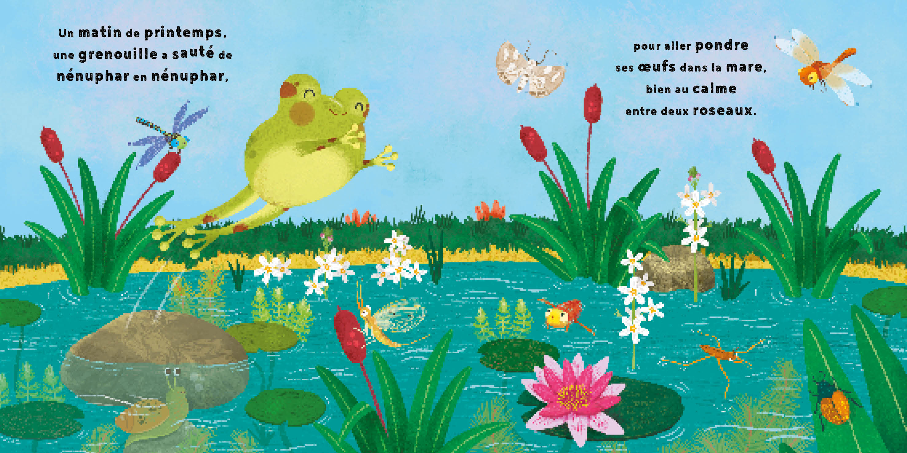 LA PETITE GRENOUILLE